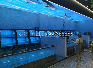 水產市場魚缸