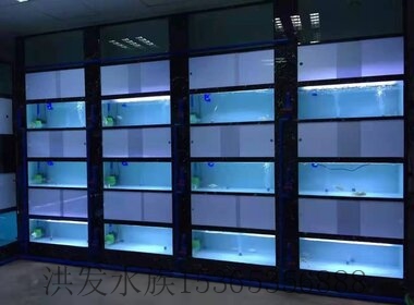 酒店魚缸
