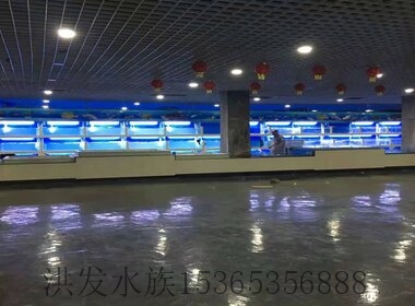 酒店魚缸